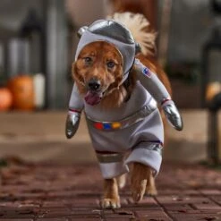 Frisco Front Walking LED Astronaut Dog & Cat Costume 16 Frisco Front Walking LED Astronaut Dog & Cat Costume -Dog Supplies 707630 PT7. AC SS1800 V1689278700