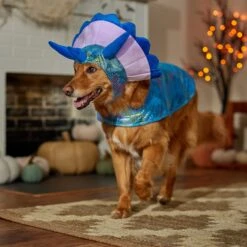 Frisco Dinosaur Dog & Cat Costume -Dog Supplies 707894 PT7. AC SS1800 V1689350593