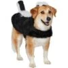 Frisco Faux Fur Skunk Dog & Cat Costume -Dog Supplies 708078 MAIN. AC SS1800 V1689350100