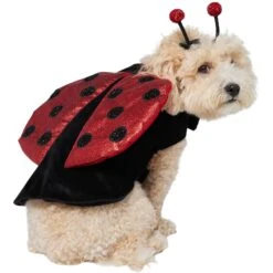 Frisco Glittered Ladybug Dog & Cat Costume 14 Frisco Glittered Ladybug Dog & Cat Costume -Dog Supplies 708254 PT3. AC SS1800 V1689350986