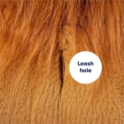 Frisco Lion Love Dog & Cat Costume -Dog Supplies 708318 PT6. AC SS1800 V1689351045