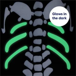 Frisco Glow In The Dark Skeleton Dog & Cat Costume 15 Frisco Glow In The Dark Skeleton Dog & Cat Costume -Dog Supplies 709038 PT5. AC SS1800 V1689340910
