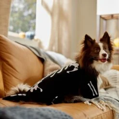 Frisco Glow In The Dark Skeleton Dog & Cat Costume 16 Frisco Glow In The Dark Skeleton Dog & Cat Costume -Dog Supplies 709038 PT7. AC SS1800 V1689350988