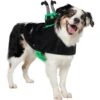 Frisco Witch Cauldron Ride-On Dog & Cat Costume -Dog Supplies 709494 MAIN. AC SS1800 V1689270917