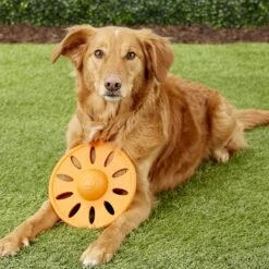 JW Pet Whirlwheel Flying Disk Dog Toy, Color Varies -Dog Supplies 71070 PT4. AC SS1800 V1531508852
