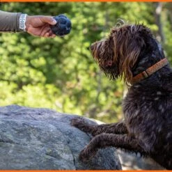 Monster K9 Dog Toys Ultra Durable Tumbler Interactive Dog Toy, Black -Dog Supplies 711342 PT6. AC SS1800 V1668809680