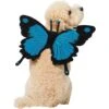Frisco Magical Butterfly Wings Dog & Cat Costume Accessory 2 Frisco Magical Butterfly Wings Dog & Cat Costume Accessory -Dog Supplies 713062 MAIN. AC SS1800 V1689271325