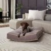 Happy Hounds Bailey Rectangle Pillow Dog Bed With Removable Cover -Dog Supplies 727774 MAIN. AC SS1800 V1698939398
