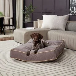 Happy Hounds Bailey Rectangle Pillow Dog Bed With Removable Cover