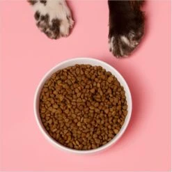 Waggo Cling Non-Skid Silicone Bottom Dog & Cat Bowl -Dog Supplies 731438 PT2. AC SS1800 V1698437624