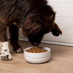 Waggo Cling Non-Skid Silicone Bottom Dog & Cat Bowl -Dog Supplies 731438 PT3. AC SS1800 V1698346581