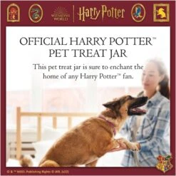 Fetch For Pets Harry Potter Hedwig Dog Treat Jar -Dog Supplies 738710 PT2. AC SS1800 V1678907363