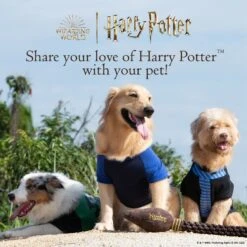 Fetch For Pets Harry Potter Hedwig Dog Treat Jar -Dog Supplies 738710 PT6. AC SS1800 V1678906022
