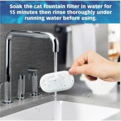 Pet Standard PETLIBRO Model PLWF003 Stainless Steel Pet Water Fountain Replacement Filter & Replacement Pre-Filter Sponges, 67-oz, 12-pack -Dog Supplies 738846 PT6. AC SS1800 V1675290101