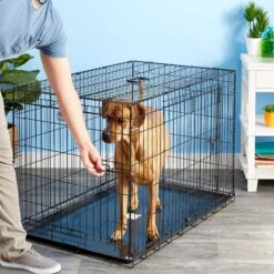 Precision Pet Products Provalu Double Door Collapsible Wire Dog Crate 12 Precision Pet Products Provalu Double Door Collapsible Wire Dog Crate -Dog Supplies 74070 PT7. AC SS1800 V1496757266