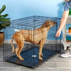 Precision Pet Products Provalu Double Door Collapsible Wire Dog Crate 13 Precision Pet Products Provalu Double Door Collapsible Wire Dog Crate -Dog Supplies 74070 PT8. AC SS1800 V1496757360