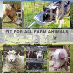 Win World Gazebo Automatic Dog & Cat Feeder, Grey, Large 13 Win World Gazebo Automatic Dog & Cat Feeder, Grey, Large -Dog Supplies 740734 PT5. AC SS1800 V1671222524