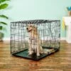 Precision Pet Products Provalu Single Door Collapsible Wire Dog Crate -Dog Supplies 74077 MAIN. AC SS1800 V1569015121