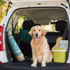 Max & Marlow Go Gear Portable Waterproof Roll-Up Cat & Dog Bed Mat -Dog Supplies 741934 PT2. AC SS1800 V1674069800