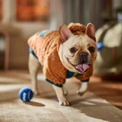 Frisco Wubby Textured Fleece Dog & Cat Hoodie W/ Pocket 18 Frisco Wubby Textured Fleece Dog & Cat Hoodie W/ Pocket -Dog Supplies 742510 PT7. AC SS1800 V1692377765