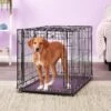 MidWest Ovation Single Door Collapsible Wire Dog Crate -Dog Supplies 74296 MAIN. AC SS1800 V1569015303