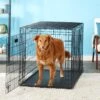 MidWest Ultima Pro Double Door Collapsible Wire Dog Crate -Dog Supplies 74309 MAIN. AC SS1800 V1569015173
