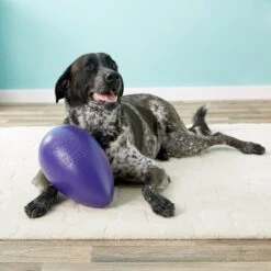 Jolly Pets Jolly Egg Dog Toy, Purple -Dog Supplies 74529 PT8. AC SS1800 V1506968381