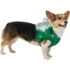 Frisco Ornament Dog & Cat Costume 2 Frisco Ornament Dog & Cat Costume -Dog Supplies 745510 MAIN. AC SS1800 V1694800749