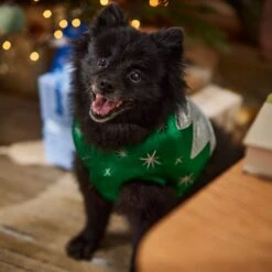 Frisco Ornament Dog & Cat Costume -Dog Supplies 745510 PT7. AC SS1800 V1694795535