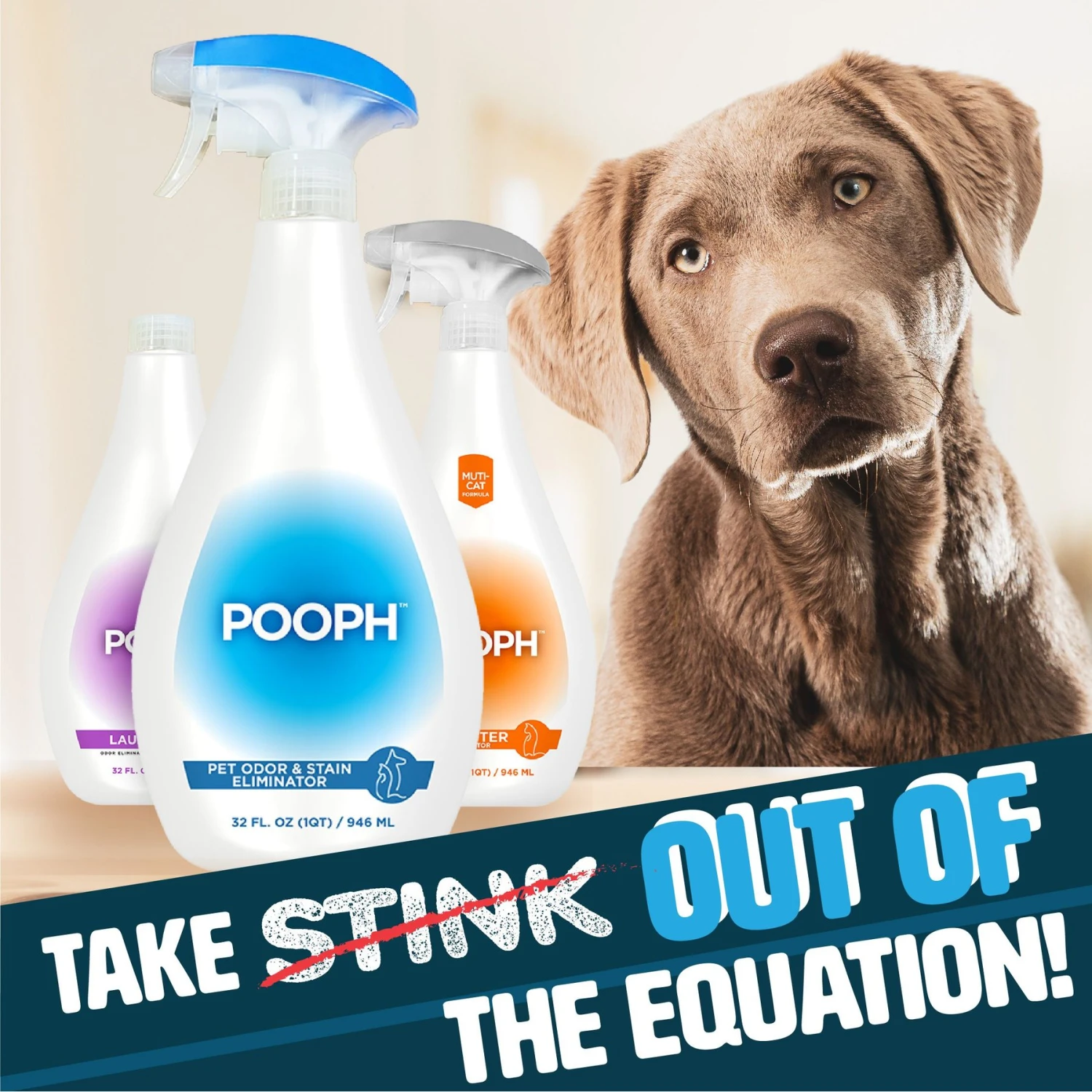 POOPH Cat & Dog Odor & Stain Eliminator 7 POOPH Cat & Dog Odor & Stain Eliminator - Image 5