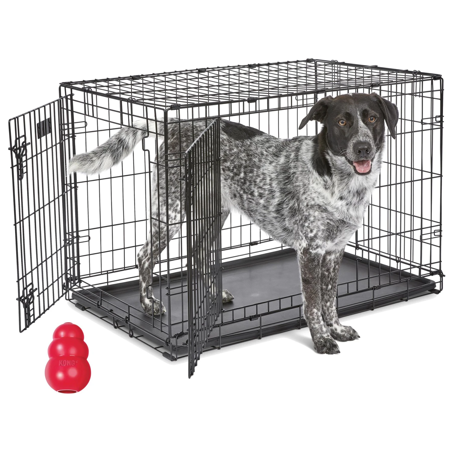 MidWest ICrate Fold & Carry Double Door Collapsible Wire Dog Crate & KONG Classic Dog Toy 3 MidWest ICrate Fold & Carry Double Door Collapsible Wire Dog Crate & KONG Classic Dog Toy