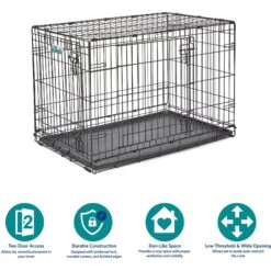 MidWest ICrate Fold & Carry Double Door Collapsible Wire Dog Crate & KONG Classic Dog Toy 15 MidWest ICrate Fold & Carry Double Door Collapsible Wire Dog Crate & KONG Classic Dog Toy -Dog Supplies 752366 PT4. AC SS1800 V1672869881