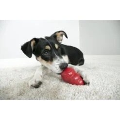 MidWest ICrate Fold & Carry Double Door Collapsible Wire Dog Crate & KONG Classic Dog Toy 19 MidWest ICrate Fold & Carry Double Door Collapsible Wire Dog Crate & KONG Classic Dog Toy -Dog Supplies 752366 PT8. AC SS1800 V1672928527