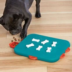 Nina Ottosson By Outward Hound Casino Puzzle Game Dog Toy -Dog Supplies 75370 PT5. AC SS1800 V1694286656