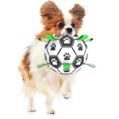 SunGrow Soccer Ball Dog & Cat Toy