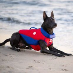 Canada Pooch High Tide Life Dog Jacket -Dog Supplies 758830 PT4. AC SS1800 V1677535862