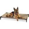 Coolaroo Pro Elevated Dog & Cat Bed 1 Coolaroo Pro Elevated Dog & Cat Bed -Dog Supplies 762982 MAIN. AC SS1800 V1674664537