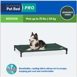 Coolaroo Pro Replacement Cover Elevated Dog & Cat Bed 12 Coolaroo Pro Replacement Cover Elevated Dog & Cat Bed -Dog Supplies 763022 PT3. AC SS1800 V1674768928