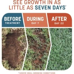 Pennington Smart Patch Bermudagrass Mix Dog Lawn-Treatment & Grass Saver -Dog Supplies 763358 PT2. AC SS1800 V1674757888