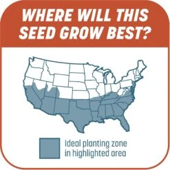 Pennington Smart Patch Bermudagrass Mix Dog Lawn-Treatment & Grass Saver -Dog Supplies 763358 PT6. AC SS1800 V1674769353