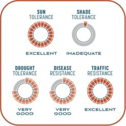 Pennington Smart Patch Bermudagrass Mix Dog Lawn-Treatment & Grass Saver -Dog Supplies 763358 PT8. AC SS1800 V1674769356