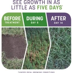 Pennington Smart Patch Dense Shade Mix Dog Lawn-Treatment & Grass Saver -Dog Supplies 763382 PT2. AC SS1800 V1674769875