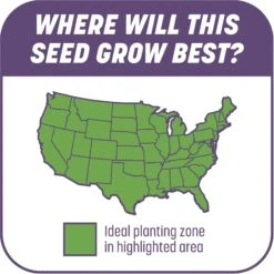 Pennington Smart Patch Dense Shade Mix Dog Lawn-Treatment & Grass Saver -Dog Supplies 763382 PT6. AC SS1800 V1674745042