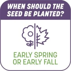 Pennington Smart Patch Dense Shade Mix Dog Lawn-Treatment & Grass Saver -Dog Supplies 763382 PT7. AC SS1800 V1674769409