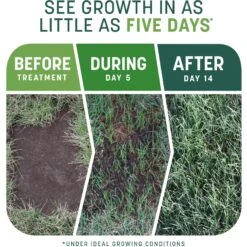 Pennington Smart Patch Sun & Shade Mix Dog Lawn-Treatment & Grass Saver -Dog Supplies 763398 PT2. AC SS1800 V1674745147