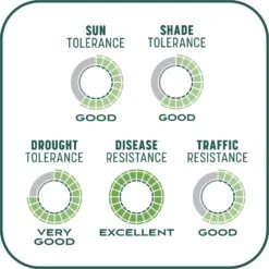 Pennington Smart Patch Sun & Shade Mix Dog Lawn-Treatment & Grass Saver -Dog Supplies 763398 PT8. AC SS1800 V1674772905