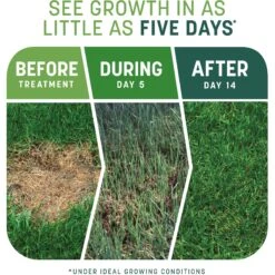 Pennington Smart Patch Tall Fescue Mix Dog Lawn-Treatment & Grass Saver -Dog Supplies 763422 PT2. AC SS1800 V1674769873