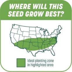 Pennington Smart Patch Tall Fescue Mix Dog Lawn-Treatment & Grass Saver -Dog Supplies 763422 PT6. AC SS1800 V1674745041