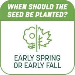 Pennington Smart Patch Tall Fescue Mix Dog Lawn-Treatment & Grass Saver -Dog Supplies 763422 PT7. AC SS1800 V1674768930