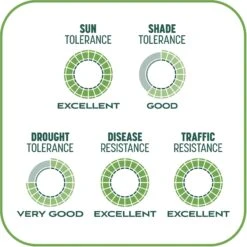 Pennington Smart Patch Tall Fescue Mix Dog Lawn-Treatment & Grass Saver -Dog Supplies 763422 PT8. AC SS1800 V1674745099